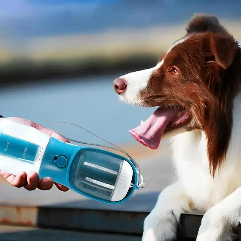 Botella 3 en 1 para Perros – Agua, Comida y Bolsas